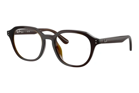 rayban, RX 7259D, vyrai, plastikas