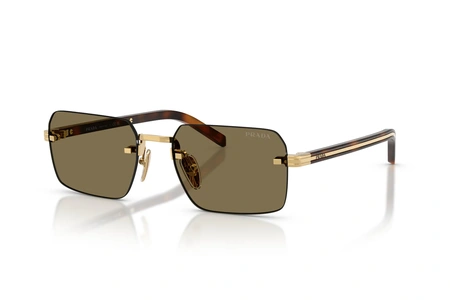 prada, PR D55S, vyrai, metalas