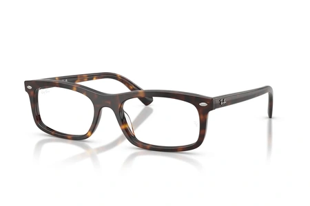 rayban, RX 5450, vyrai, plastikas