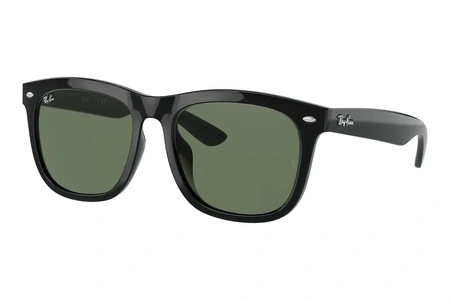 rayban, RB 4260D, vyrai, ovalus, plastikas