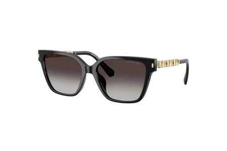 m.kors, MK 2263U, moterys, plastikas