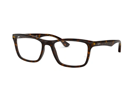 rayban, RB 5279, vyrai, ovalus, plastikas